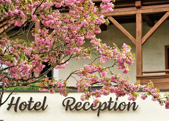 Gæstehus Fischerwirt Am Achensee 3*