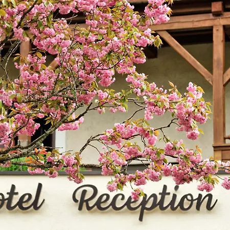 Pensjonat Fischerwirt Am Achensee 3*